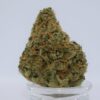 Acapulco Gold strain Australia