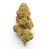 Jack the Ripper