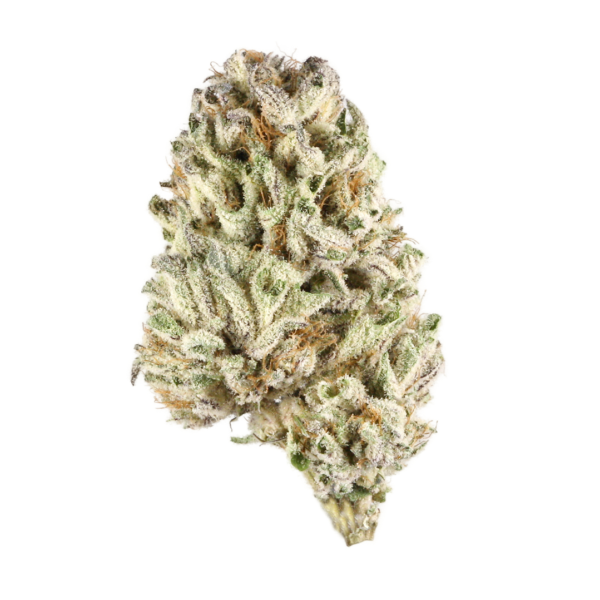 Biscotti strain Australia